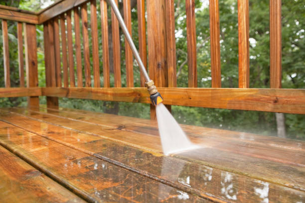 Best Animal Enclosure Cleaning  in Chattahoochee, FL